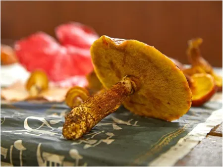 Tengu Onsen Asama Sanso