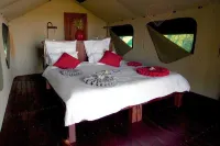 Nkasa Lupala Tented Lodge Hotels in Photo