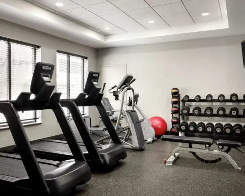 Hampton Inn Boston/Cambridge الترفيه والتسلية Photos