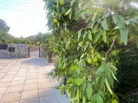 Villa Tanyeli with Private Pool and Terrace - Villas