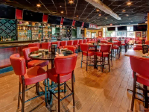 SpringHill Suites Norfolk Old Dominion University Hotels in Norfolk