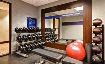 Hampton Inn Atlanta-Mall of Georgia