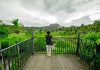 The Hill District Club - Thdc Wayanad