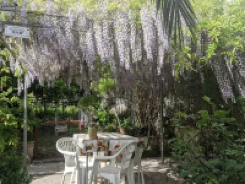 Villa Giulia at the foot of Vesuvius - Near Pompeii Hotels in Trecase