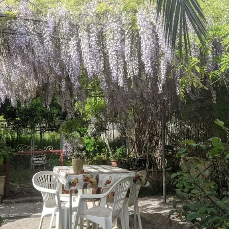 Villa Giulia at the foot of Vesuvius - Near Pompeii Отели в г. Треказе