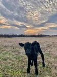 Farmhouse with easy access to state parks, lake, golf course