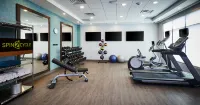 Home2 Suites by Hilton Brantford, on - Gym