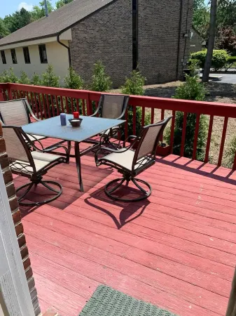 Your Bright, Confortable, Cozy Second Home