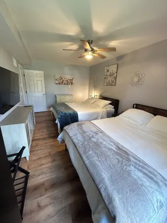 Cozy Cattle View Cottage