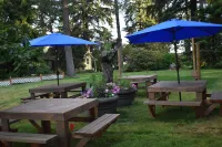 Updated Farmhouse on 5 Acres Near Salem Oregon