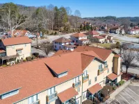 Little Black Bear -Hot tub, Grill, Kitchen,