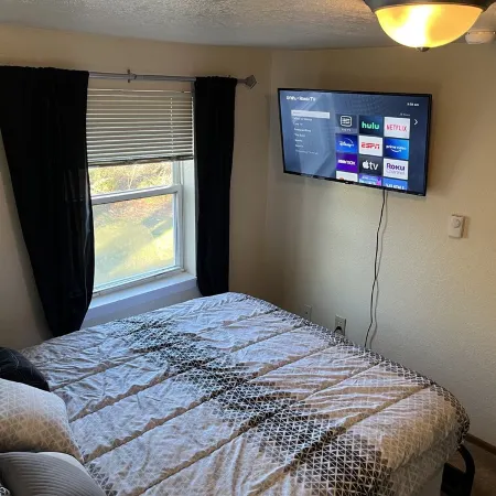 Cozy 1 Bedroom Located Downtown/Close to Soaring Eagle/CMU