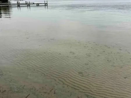 Walloon Lake Waterfront! Private Beach! Pets! Fireplace! Fall Colors! Отели рядом с достопримечательностью «Парк штата Петоски»