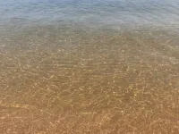 COZY,Newly renovated,West Shores ,short walk to Nasons Beach 🏖🏠 Hotels in Sebago
