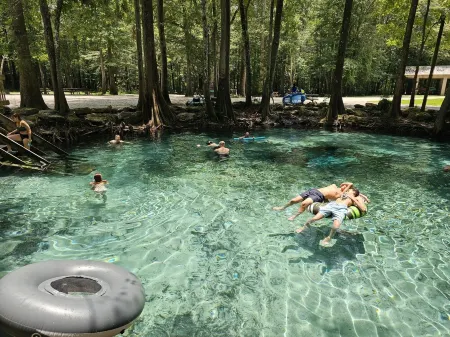 Camp Manatee - Riverfront Cabin, Stunning Views, Pet-Friendly, Hot tub + Kayaks!