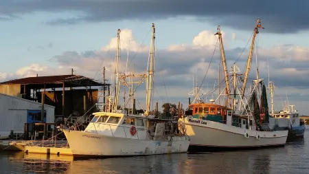 Historic Home/Apt...