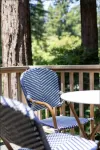 Sunny, downtown family oasis amongst the redwoods