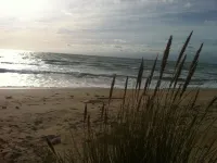 Old winery close to the sea and shops on île de ré Hotel di Sainte-Marie-de-Re