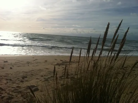 Old winery close to the sea and shops on île de ré Отели в г. Сент-Мари-Де-Ре