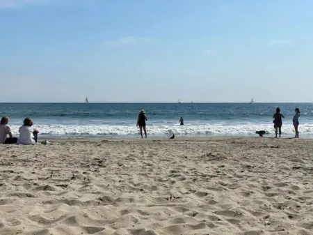 The Mayor's House, 5 bedrooms, Modern Luxury Cabin