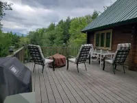 10 min from Stratton! Log Cabin w/ Beautiful Views