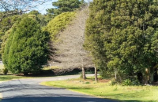 Sandstone Cottage With Cozy Open Fireplace in the Heart of Robertson Hotels in Robertson