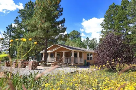 Family retreat in Munds Park; bring your dog!