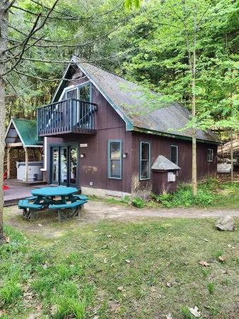 Tamarac Cabin at Colden Lodge Отели в г. Саранак Лейк