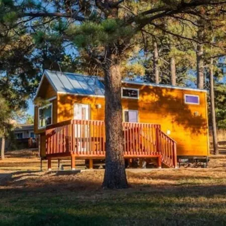 Cozy brand new tiny home! Amazing experience