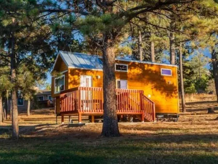 Cozy brand new tiny home! Amazing experience