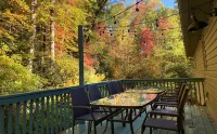 Waterfall House near Brevard, NC - Waterfalls and stream - Close to Asheville