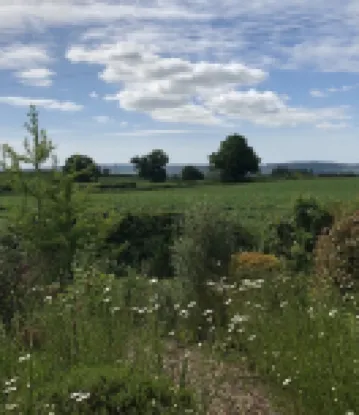 Lovely cabin with country views in popular Somerset village.