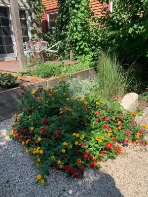 Brady St - Secret Garden - Fire Pit - Chic Victorian - Family Friendly