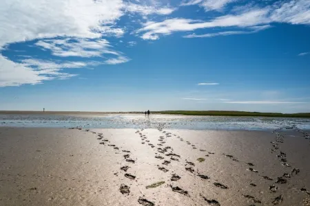 Gemütliche Große Ferienwohnung in der Nähe der Schönen Schlei