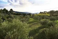 La Treille Mas Bouteillans, charm, comfort, calm amid the olive grove