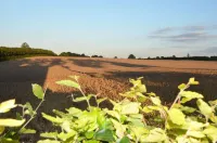 Enjoy stunning views over Kiel and nature - 2星級