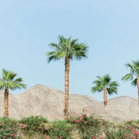 Desert DayDream 1 Bedroom Condo steps away from Old Town La Quinta #244554