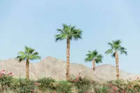 Desert DayDream 1 Bedroom Condo steps away from Old Town La Quinta #244554