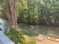 Best River Home-Bear Trail Retreat- 10 Kayaks, LG Yard, Gazebo, Firepit,10 Kayak