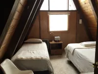 Alpine Chalet with outdoor Jacuzzi 1 mile from ski lifts