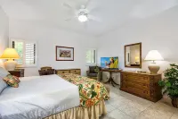 Free WiFi Garage Park, 2 OceanView Pools, Full Kitchen Royal Sea Cliff #1 Kona