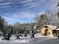 Sun drenched cozy cottage on budding 17 acre homestead