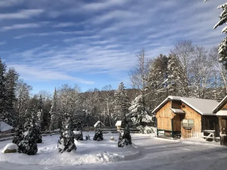 Sun drenched cozy cottage on budding 17 acre homestead
