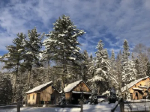 Sun drenched cozy cottage on budding 17 acre homestead 奧蘭治縣酒店