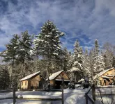 Sun drenched cozy cottage on budding 17 acre homestead