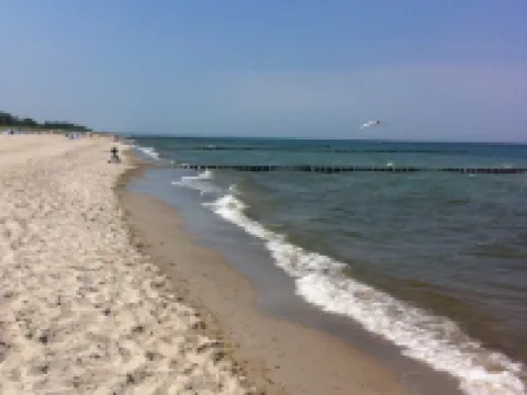 Sauna, whirlpool, fireplace, 3TV, WiFi, 2 bedrooms, SKY TV, terrace, LAST MINUTE Hotels in Fuhlendorf