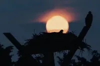 beautiful 3 bedroom 2 full bath within walking distance from the beach.