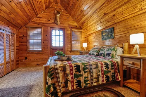 Cabin in the Smokies, 30-mins away from Gatlinburg & Pigeon Forge- Pet friendly