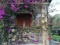 Your seaside villa CIN: IT111042C2000R6098 Hotel in zona Spiaggia Is Perdigonis