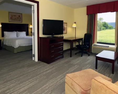 希爾頓歡朋酒店-拉馬爾 克林頓縣酒店